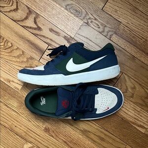 Nike Men's Blue and Green SB